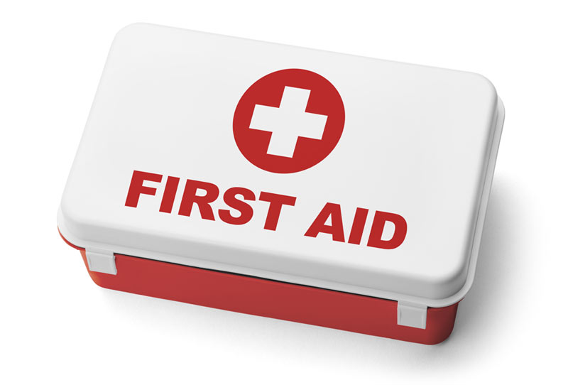 How To Build A First Aid Kit For Your Dog