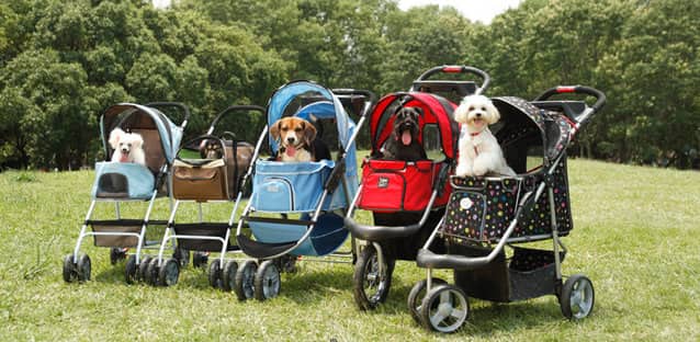 6 Best Dog Strollers – Ride With Style!