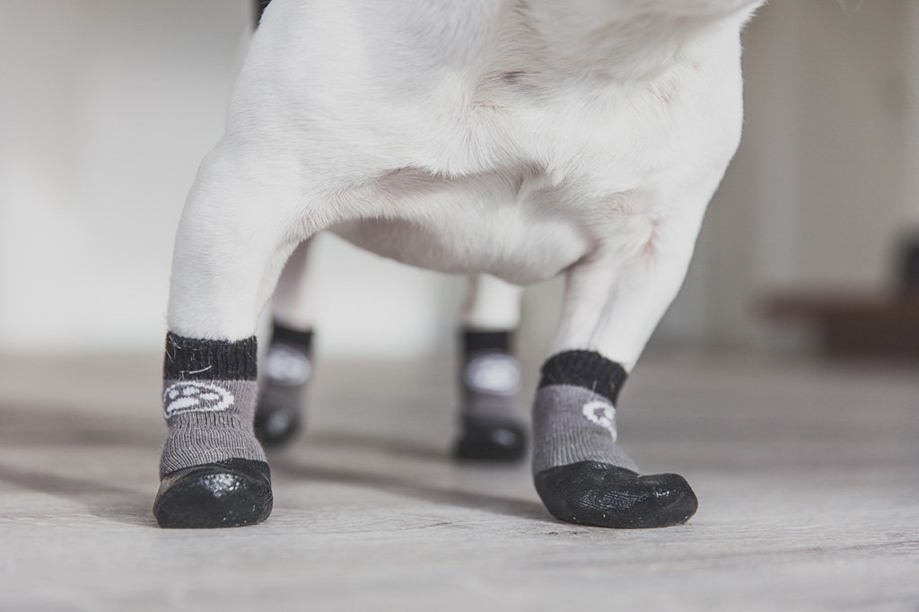 Best Socks For Dogs The Most, Dog Socks For Hardwood Floors
