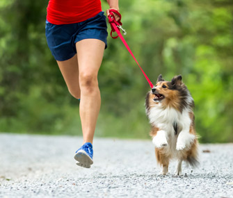 The Best Dog Breeds For Runners