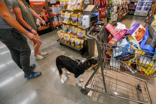 Where Can I Shop With My Dog? Dog Friendly Stores
