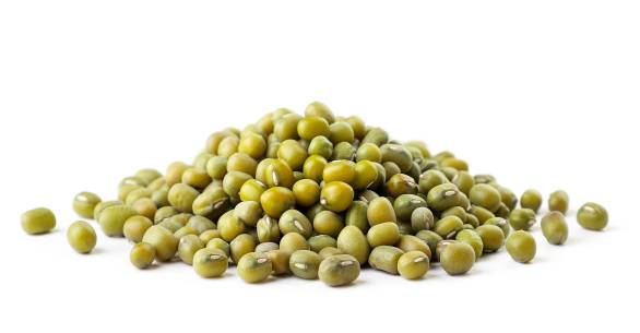 Can My Dog Eat Mung Beans?
