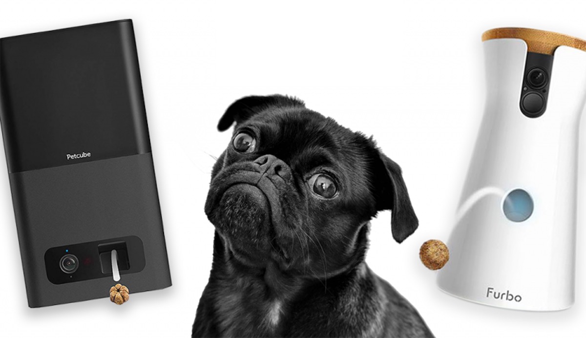 Furbo vs Petcube Bites: Which Dog Camera is Best?