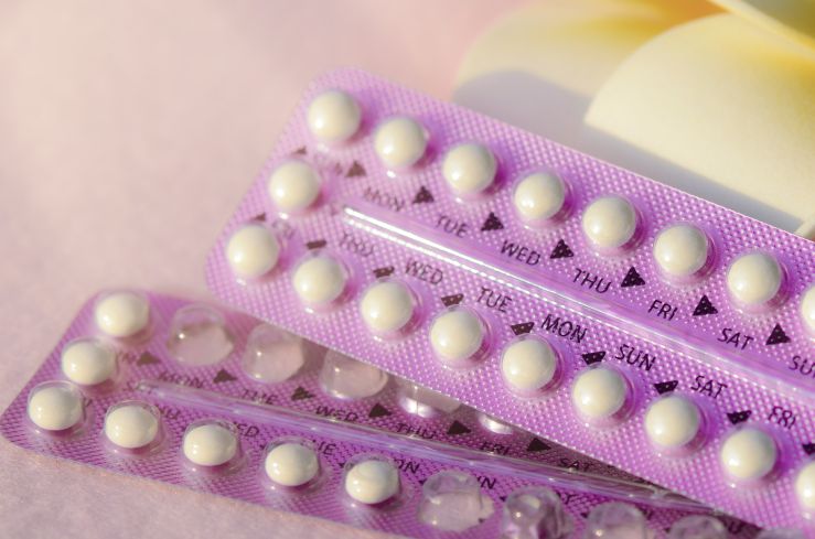 My Dog Ate Birth Control Pills What Should I Do? (Reviewed by Vet)