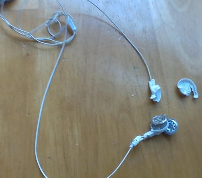 dog swallowed earbuds