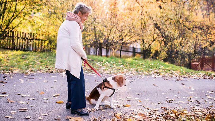 How Dogs Help People with Alzheimer’s or Dementia