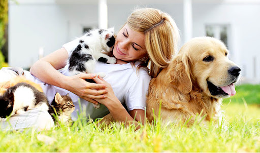 How Dogs & Cats Support Our Mental Health