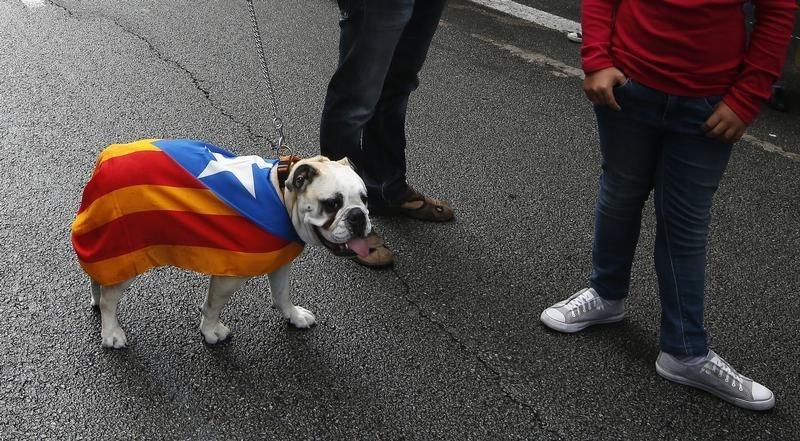 50 Catalan Dog Names and Their Meaning