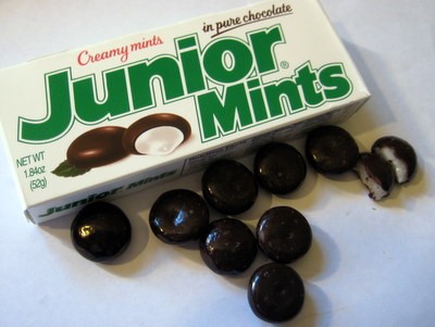 My Dog Ate a Junior Mint Will He Get Sick?