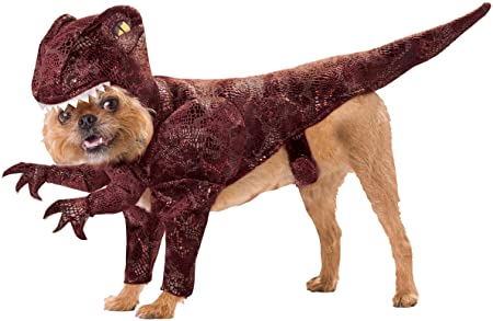 50 Dinosaur Inspired Dog Names and Their Meaning