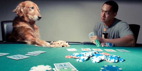 50 Gambling Inspired Dog Names