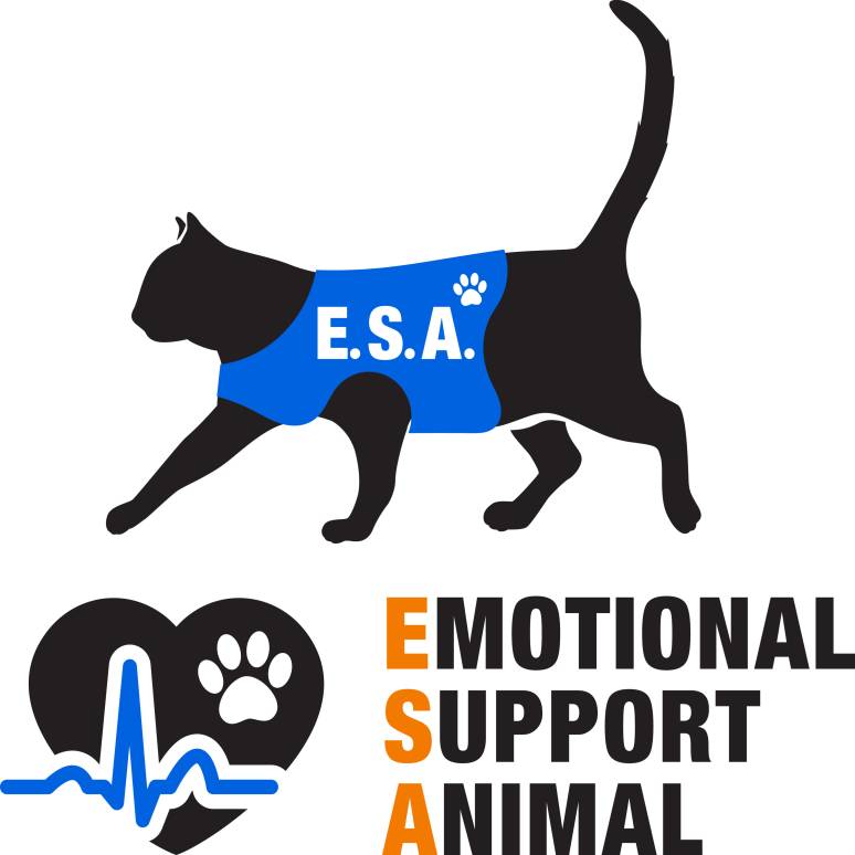How Colleges Might be Able to Accommodate Emotional Support Animals