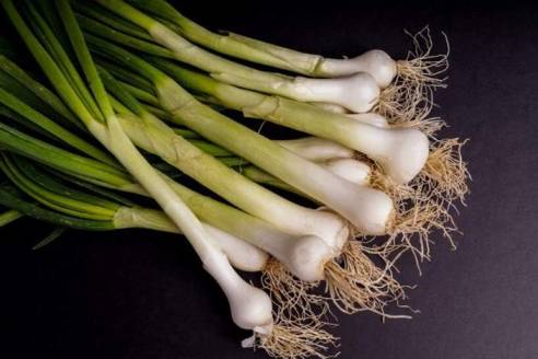My Rabbit Ate Spring Onions Will He Get Sick?