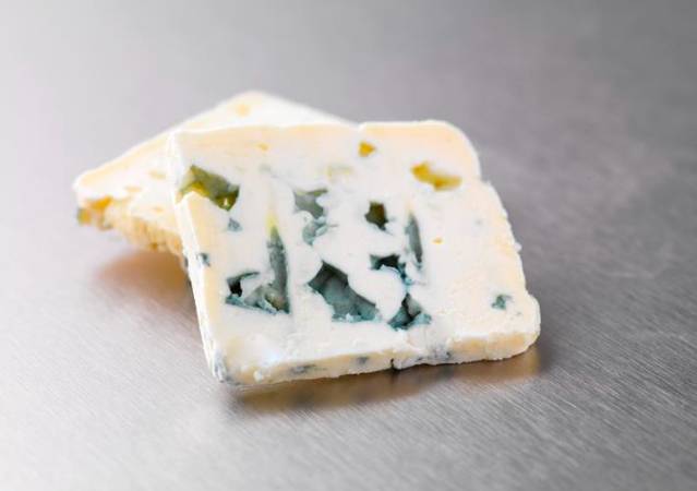 Dog Ate Blue Cheese