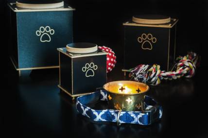 Pet Cremation Costs 101: An Overview