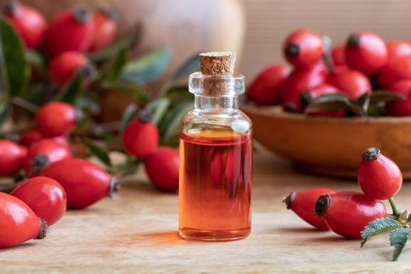 My Dog Ate Rosehip Oil What Should I Do? - Our Fit Pets