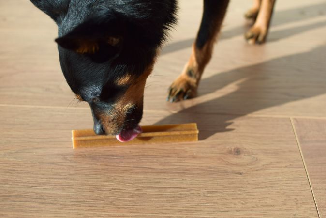 My Dog Ate Too Many Dentastix What Should I Do? (Reviewed by Vet)