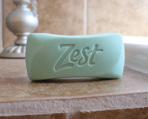 My Dog Ate Zest Soap What Should I Do?