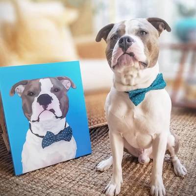 5 Best Sites for Pet Art and Portraits