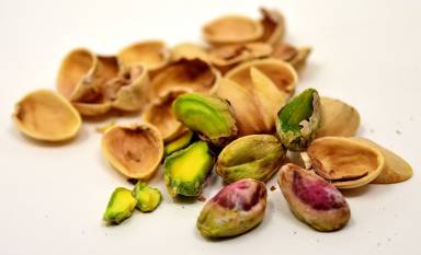 My Dog Ate Pistachios with Shells or Without What Should I Do?