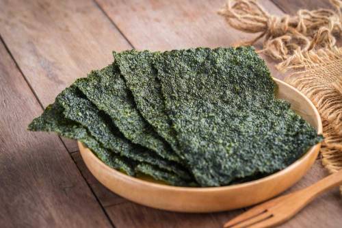 My Dog Ate Seaweed What Should I Do?