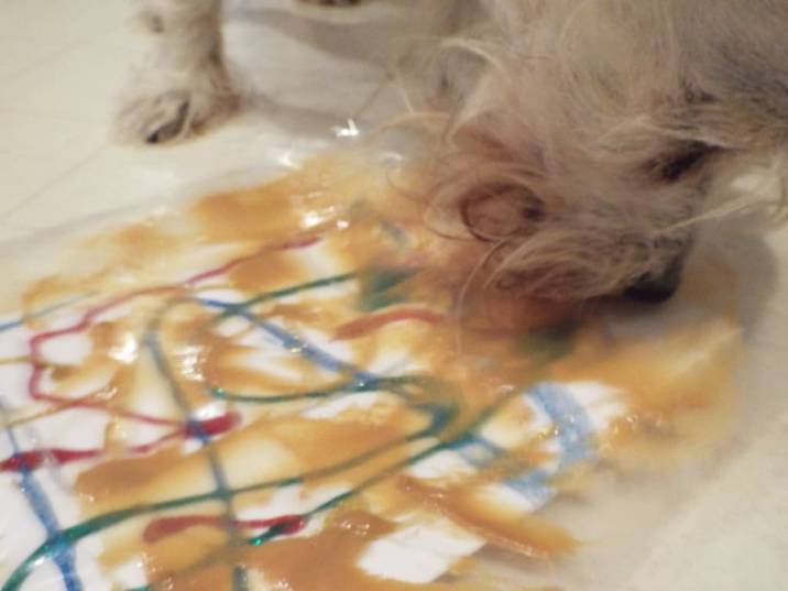My Dog Licked Enamel Paint What Should I Do?