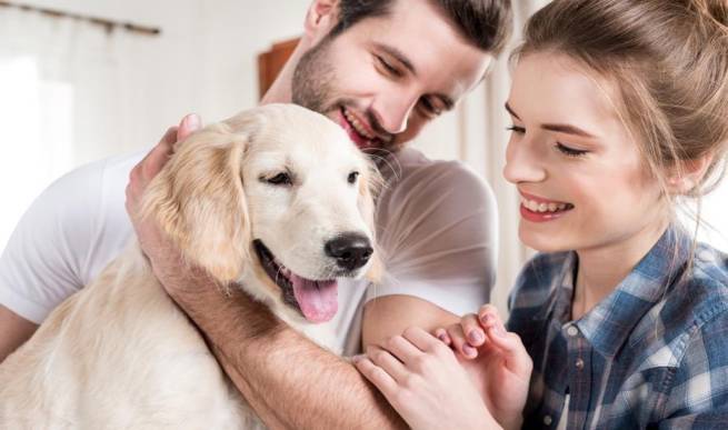 How to Find The Right Dog Breed For You and Your Family
