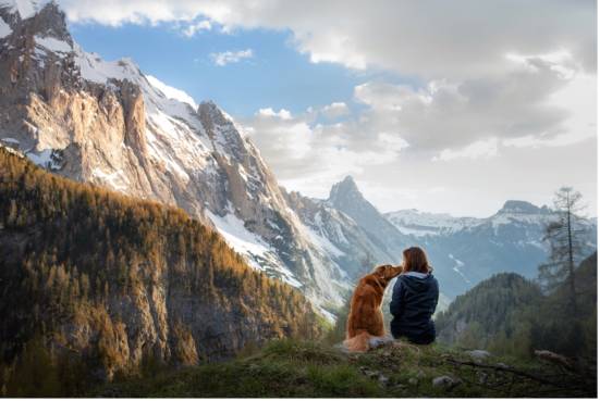 What You Need for Your Next Trip: 8 Dog Hiking Essentials