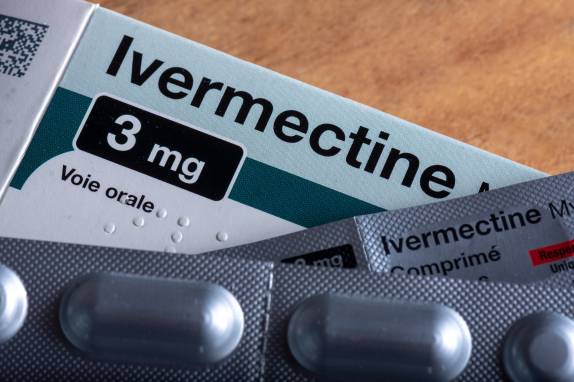 Can I Give Horse Ivermectin to My Dog?