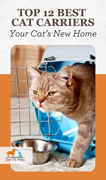 Cats: Top 12 Best Carriers  - Your Cat's New Home