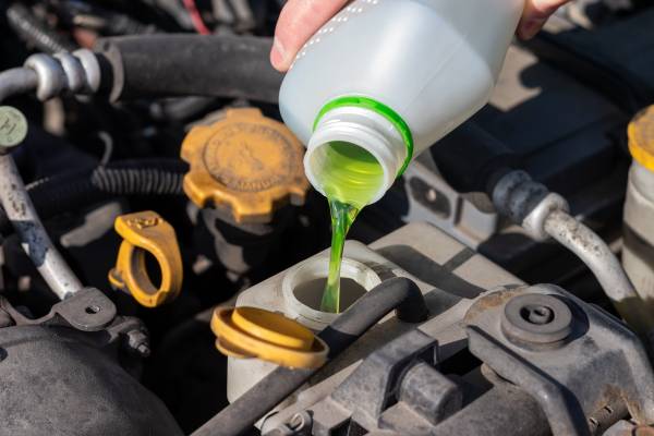 My Dog Drank Power Steering Fluid What Should I Do?