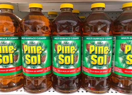 My Dog Drank Pine-Sol What Should I Do?