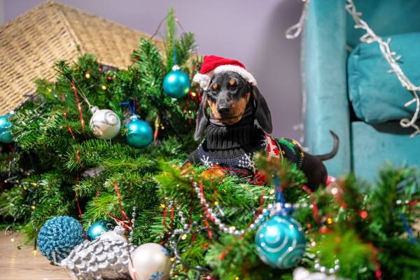 Dog Ate Artificial Christmas Tree