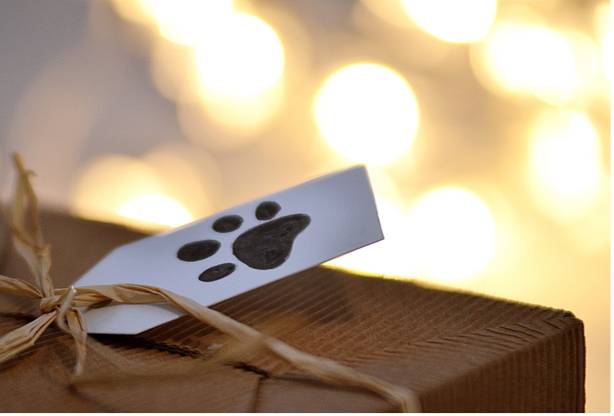 8 Pawfect Gifts for Pet Owners