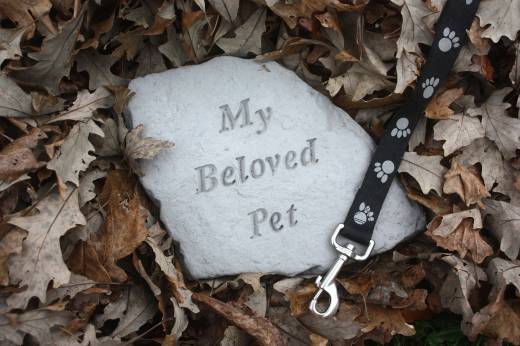 Saying Goodbye: How to Give Your Pet the Send-Off They Deserve