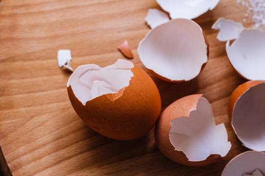 My Dog Ate Hard Boiled Eggs Shell What Should I Do?