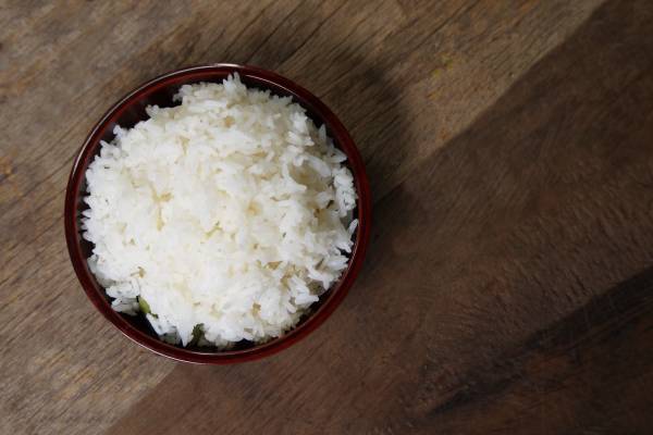 My Dog Ate Boiled Rice What Should I Do?