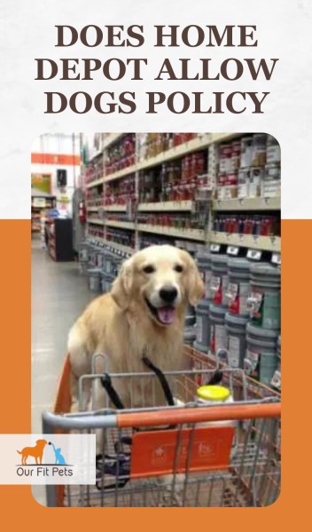 Does Home Depot Allow Dogs Policy