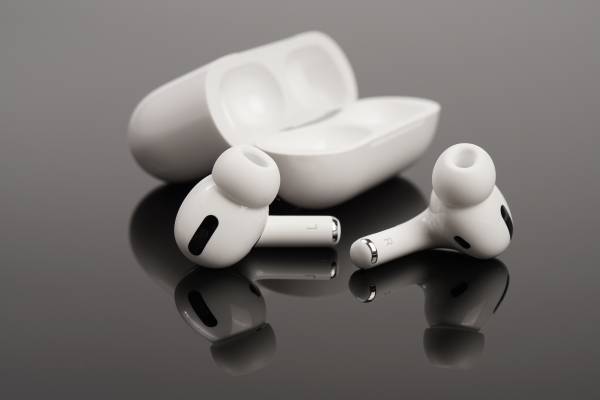 My Dog Ate My AirPod What Should I Do?