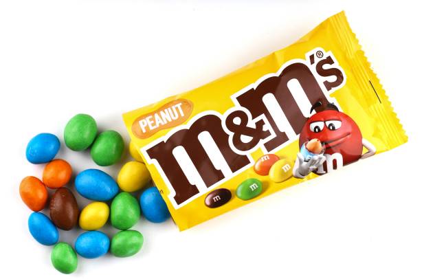 My Dog Ate M&Ms What Should I Do?