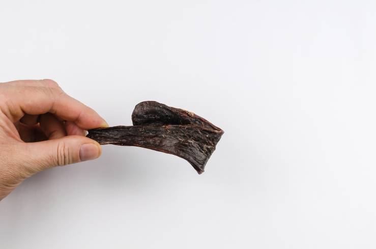 My Dog Ate Beef Jerky What Should I Do?