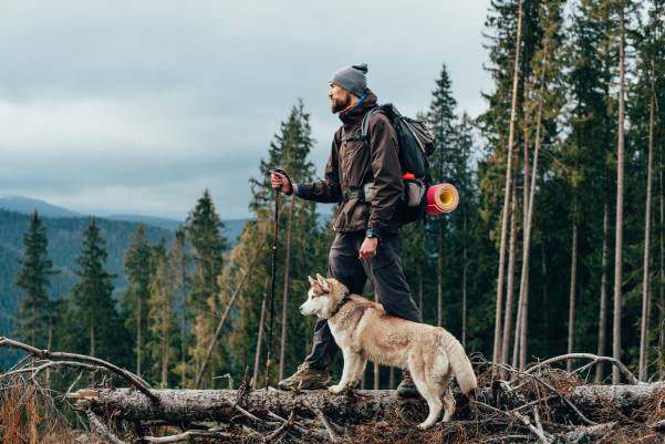 Top Dog Breeds For A Hiking Buddy