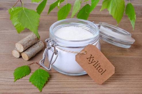 My Dog Ate Xylitol What Should I Do?