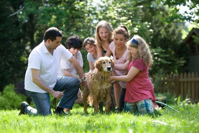 7 Best Dog Breeds for Families