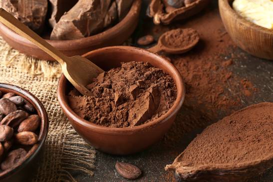 My Dog Ate Cocoa Powder What Should I Do?