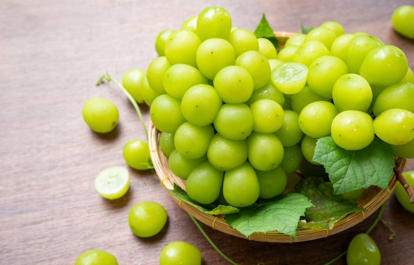 My Dog Ate A Green Grape What Should I Do?