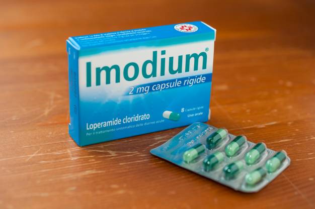 My Dog Ate Imodium What Should I Do? | Our Fit Pets