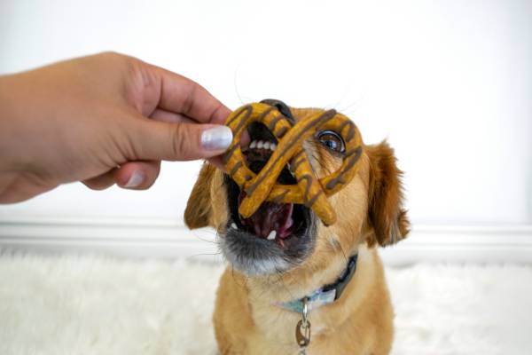 Can Dogs Eat Pretzels