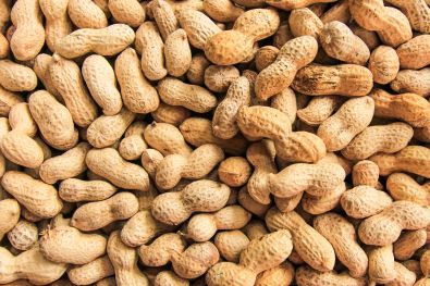 My Dog Ate Peanuts What Should I Do?