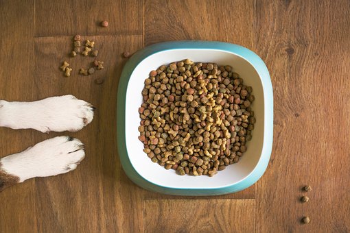 How To Test The Quality Of CBD Treats Before Buying Them For Your Furry Friend?